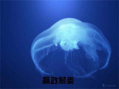 嬴政黎姜免费阅读（大秦，会呼吸的女孩，真的很加分）完整版全文全章节阅读