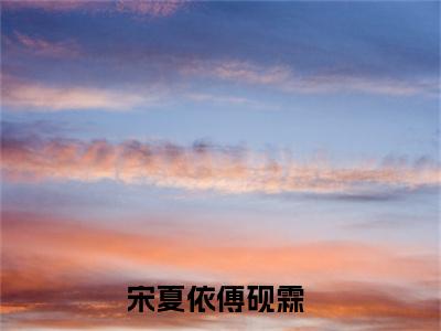 宋夏依傅砚霖小说（宋夏依傅砚霖）完整版大结局-宋夏依傅砚霖小说完结版在线阅读