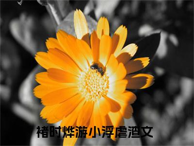 褚时烨游小浮无弹窗热文在线阅读-褚时烨游小浮小说在哪里可以看