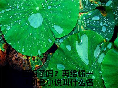后悔了吗？再给你一次机会小说（池慕寒夜浅）全文免费阅读无弹窗大结局_池慕寒夜浅最新章节列表（池慕寒夜浅）