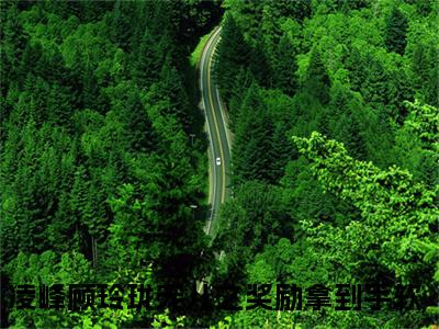 宠儿之奖励拿到手软（凌峰顾玲珑）全文免费阅读大结局_凌峰顾玲珑无弹窗最新章节列表