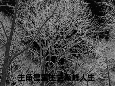 重生之巅峰人生小说（苏恒马卫）全文免费阅读无弹窗大结局_重生之巅峰人生小说免费阅读最新章节列表笔趣阁（苏恒马卫）