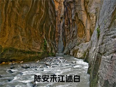 陈安禾江述白（陈安禾江述白）高质量小说免费阅读_陈安禾江述白最新章节列表_笔趣阁