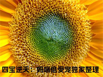 南婉战萧恒（四宝逆天：妈咪倍受宠）小说全文免费阅读无弹窗大结局_四宝逆天：妈咪倍受宠全文免费阅读