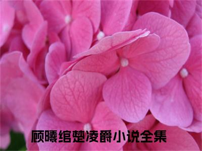 顾曦绾楚凌爵精选言情小说- 顾曦绾楚凌爵全文在线阅读