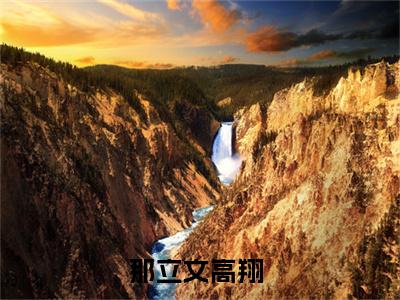 那立文高翔全文免费阅读无弹窗大结局_(那立文高翔)免费阅读全文无弹窗_