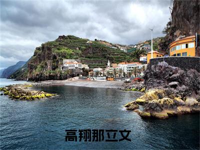 主角叫高翔那立文的小说在哪阅读高翔那立文是什么小说