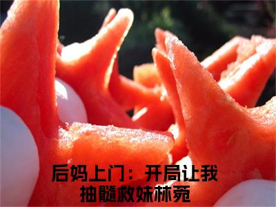 林菀（后妈上门：开局让我抽髓救妹）全文免费阅读无弹窗-（林菀）后妈上门：开局让我抽髓救妹小说全文在线赏析