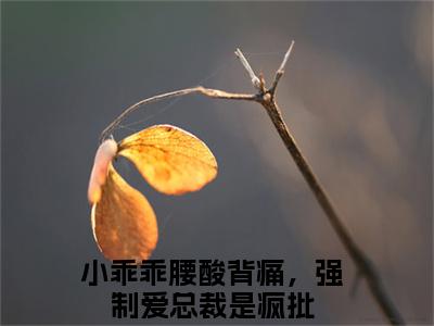 孟霁陆野（小乖乖腰酸背痛，强制爱总裁是疯批）全文免费阅读无弹窗大结局_孟霁陆野最新章节列表_笔趣阁
