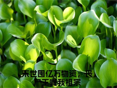陆辛夷（末世囤亿万物资，丧尸王喊我祖宗）全文免费阅读无弹窗大结局_末世囤亿万物资，丧尸王喊我祖宗无弹窗最新章节列表_笔趣阁