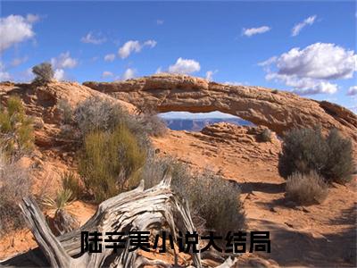 小说陆辛夷（末世囤亿万物资，丧尸王喊我祖宗小说免费阅读）完结阅读，陆辛夷在线阅读