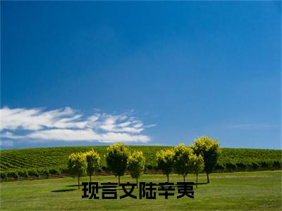 陆辛夷小说全文（末世囤亿万物资，丧尸王喊我祖宗）在线阅读-陆辛夷全文免费阅读无弹窗大结局（陆辛夷后续+免费）