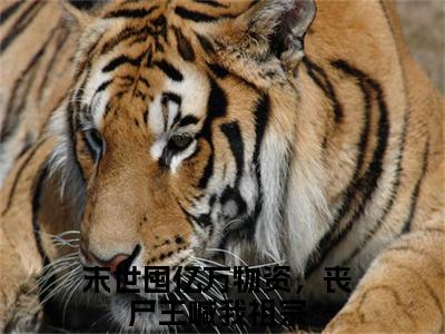 末世囤亿万物资，丧尸王喊我祖宗全文免费阅读无弹窗大结局_（陆辛夷阅读无弹窗）陆辛夷最新章节列表