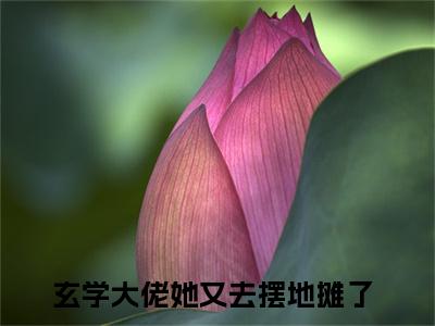 玄学大佬她又去摆地摊了（卫绵）全文免费阅读无弹窗大结局_玄学大佬她又去摆地摊了卫绵_笔趣阁