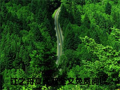 江之舟夏晚双全网首发小说-江之舟夏晚双无广告免费试读
