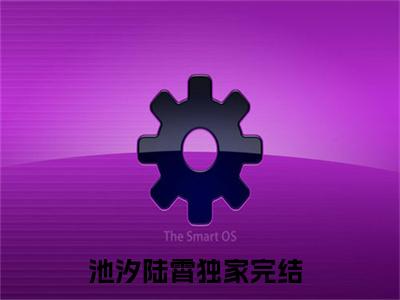 池汐陆霄在线阅读全文免费阅读无弹窗大结局_池汐陆霄最新章节列表_笔趣阁