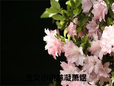 （林凝萧煜）是什么小说-（林凝萧煜）无弹窗免费阅读大结局最新章节列表_笔趣阁
