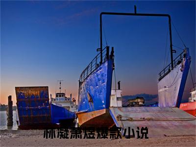 《林凝萧煜》最新章节免费阅读-林凝萧煜无广告小说精彩阅读