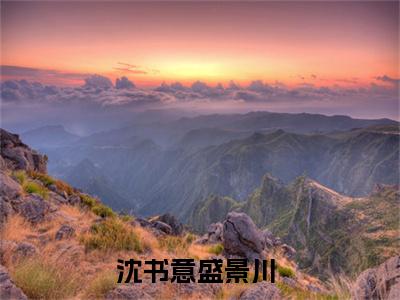 沈书意盛景川(沈书意盛景川)全文免费阅读最新章节大结局_ 沈书意盛景川全文免费阅读最新章节列表_笔趣阁