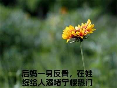 抖音热推新书后妈一身反骨，在娃综给人添堵宁樱-抖音热推后妈一身反骨，在娃综给人添堵宁樱无弹窗阅读