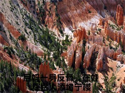 后妈一身反骨，在娃综给人添堵宁樱免费阅读最新章节列表_笔趣阁