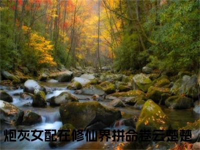 炮灰女配在修仙界拼命卷云楚楚小说全文（炮灰女配在修仙界拼命卷云楚楚）全文免费阅读无弹窗大结局_炮灰女配在修仙界拼命卷云楚楚小说全文最新章节列表_笔趣阁