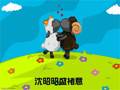 沈昭昭盛褚意(沈昭昭盛褚意)是什么小说-热门小说（沈昭昭盛褚意）最新章节阅读