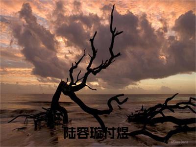 陆容璇付煜(陆容璇付煜)全文免费阅读无弹窗大结局_陆容璇付煜无弹窗最新章节列表_笔趣阁