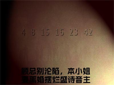 顾总别沦陷，本小姐要离婚摆烂盛诗音（顾总别沦陷，本小姐要离婚摆烂盛诗音）全文免费阅读无弹窗大结局_（顾总别沦陷，本小姐要离婚摆烂盛诗音）最新章节列表笔趣阁