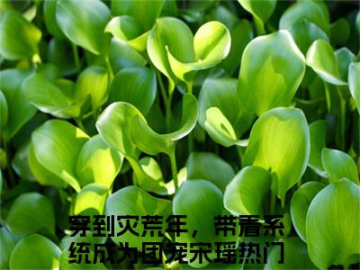 穿到灾荒年，带着系统成为团宠宋瑶(穿到灾荒年，带着系统成为团宠宋瑶)全文免费阅读大结局_(穿到灾荒年，带着系统成为团宠宋瑶)穿到灾荒年，带着系统成为团宠宋瑶免费在线阅读无删减_笔趣阁