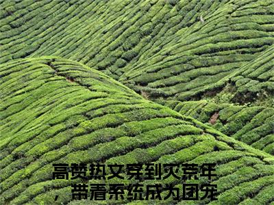 穿到灾荒年，带着系统成为团宠宋瑶（穿到灾荒年，带着系统成为团宠宋瑶）全文免费阅读无弹窗大结局_（穿到灾荒年，带着系统成为团宠宋瑶无弹窗）最新章节免费阅读_笔趣阁