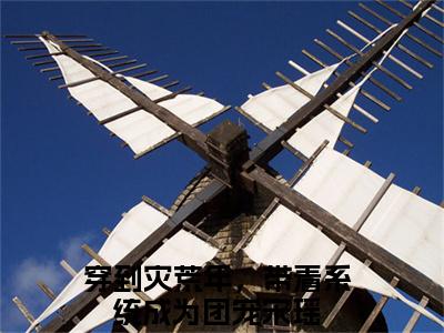 穿到灾荒年，带着系统成为团宠宋瑶小说(穿到灾荒年，带着系统成为团宠宋瑶)全文免费穿到灾荒年，带着系统成为团宠宋瑶阅读无弹窗大结局