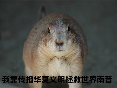 我靠传播华夏文明拯救世界南音小说讲的是什么-我靠传播华夏文明拯救世界南音精彩章节目录观看