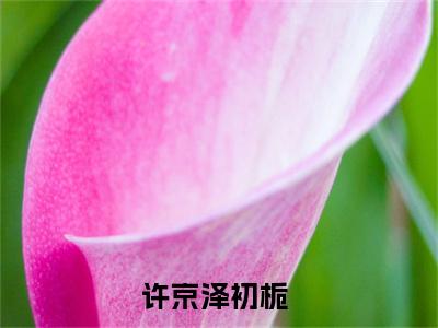 (热推新书)许京泽初栀全文免费阅读无弹窗大结局-热推许京泽初栀无弹窗阅读许京泽初栀在线阅读