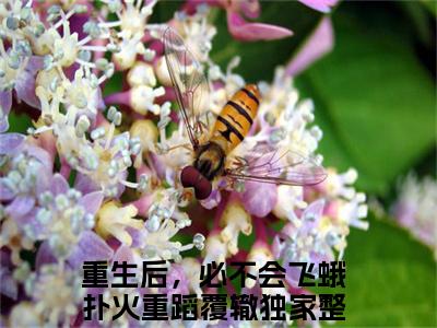 【新书】《重生后，必不会飞蛾扑火重蹈覆辙》全文免费阅读无弹窗大结局-叶乐妍沈御京全文全章节免费阅读
