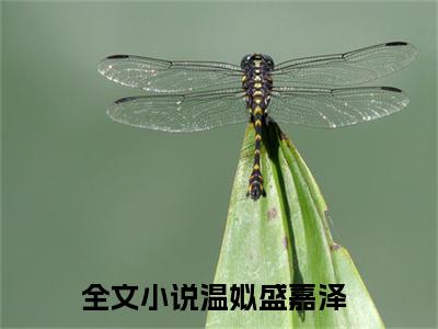 温姒盛嘉泽小说免费(温姒盛嘉泽)全文免费阅读无弹窗-温姒盛嘉泽小说全文免费阅读最新章节列表_笔趣阁