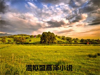 温姒盛嘉泽人气小说在线阅读-正版小说《温姒盛嘉泽》温姒盛嘉泽全文阅读