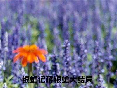 小说完整版阅读-银蟾记蒋银蟾美文欣赏