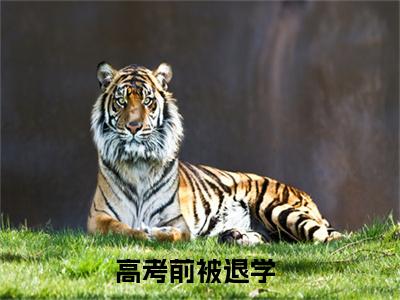 高考前被退学,获得高科技武器图纸（林海李慕儿）全文免费读无弹窗大结局_高考前被退学,获得高科技武器图纸免费阅读全文大结局最新章节列表
