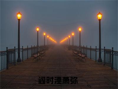 阎时湮萧弥（阎时湮萧弥）最新热门小说-阎时湮萧弥免费阅读