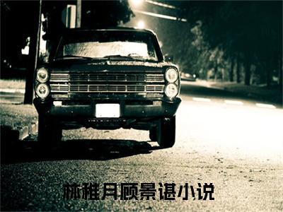 林稚月顾景谌(林稚月顾景谌)是什么小说-热门小说（林稚月顾景谌）最新章节阅读