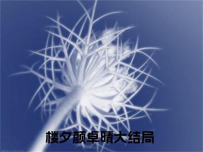 楼夕颜卓晴（楼夕颜卓晴）小说最新章节-楼夕颜卓晴全文免费阅读无弹窗大结局