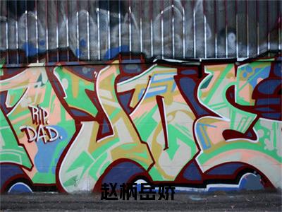 赵柄岳娇免费完结小说-赵柄岳娇在线阅读全文（赵柄岳娇）