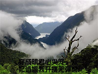 赵无眠英琼楼（穿成明君心尖宠，众妃谄媚我开摆）多人推荐阅读-精选小说（穿成明君心尖宠，众妃谄媚我开摆）完整版免费阅读