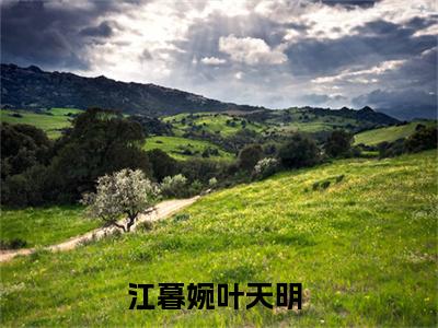无敌后下山，六个未婚妻找上门江暮婉叶天明全文免费阅读_无敌后下山，六个未婚妻找上门无弹窗最新章节