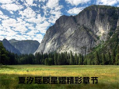 穿成家暴男后，我宠妻宠娃赎罪（夏汐瑶顾星熠）全文免费阅读_（夏汐瑶顾星熠）最新章节列表笔趣阁（夏汐瑶顾星熠）
