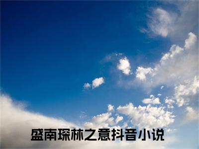 （领结婚证时也是一个下雪天）全文免费阅读-领结婚证时也是一个下雪天（盛南琛林之意）最新章节列表阅读