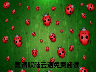 夏清欢陆云湛（夏清欢陆云湛）小说全文免费阅读无弹窗_（夏清欢陆云湛）小说全文免费阅读_最新章节列表_笔趣阁