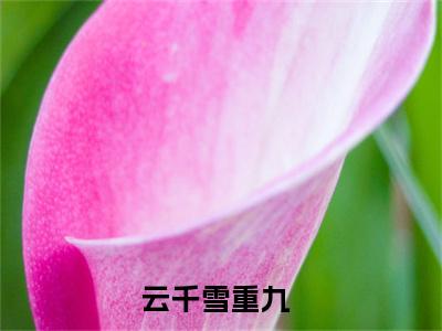 主角是与君相逢，白首无归的小说全文免费阅读无弹窗大结局-《云千雪重九》完整章节阅读