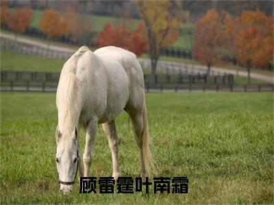 顾雷霆叶南霜小说完整版阅读 顾雷霆叶南霜全文在线赏析